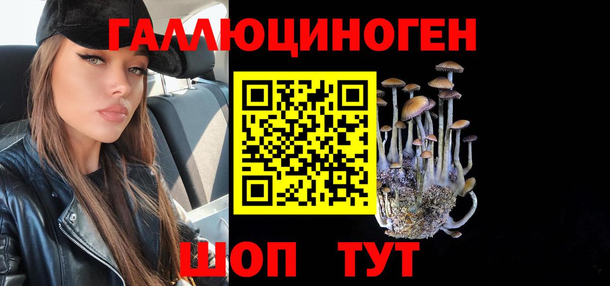 Псилоцибиновые грибы Cubensis Сарапул